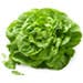 Baby Lettuce Mix Baby Lettuce Mix