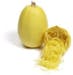 Spaghetti Squash (WI) Spaghetti Squash (WI)
