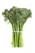 Sweet Baby Broccoli Sweet Baby Broccoli