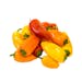 Mini Sweet Peppers - Local Mini Sweet Peppers - Local