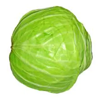 Cabbage, Green Main Image