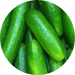 Slicer Cucumber, small Slicer Cucumber, small