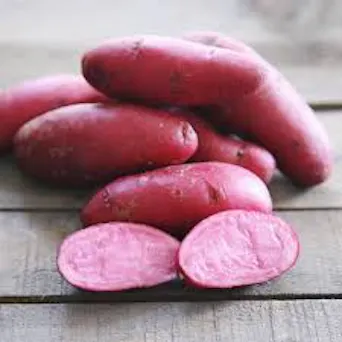 Purple Fingerling Potato Main Image