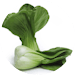 Baby Bok Choy Baby Bok Choy