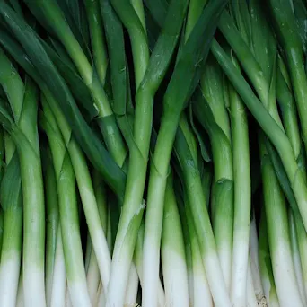 Green Onions - LOCAL Main Image
