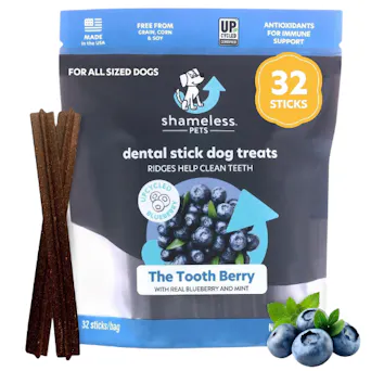 Shameless Pets The Tooth Berry Dental Stick 7.2oz Main Image