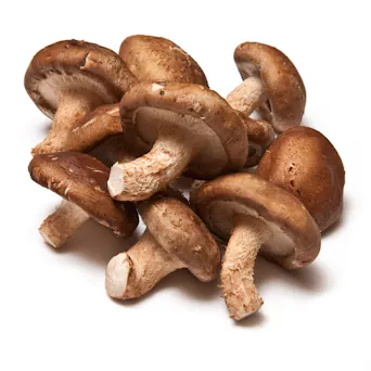 Mushroom - Shitake Main Image