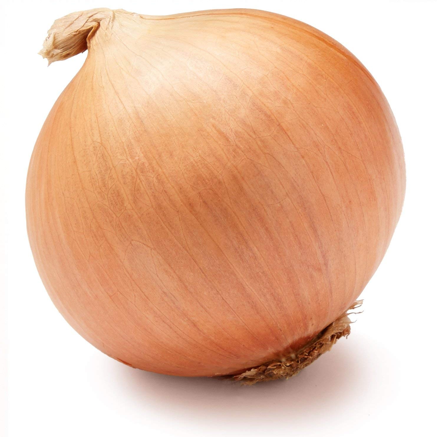 Onion Boott