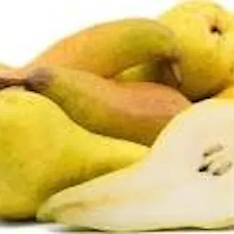 Pear, Abate Fetel Main Image