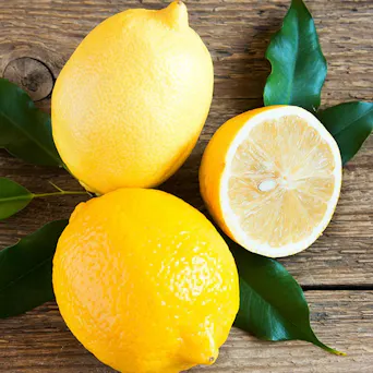 Lemon Main Image