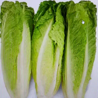 Lettuce, Romaine Hearts (3 Heads) Main Image
