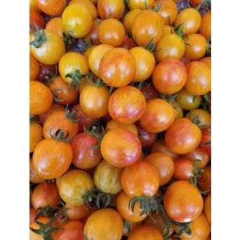 Tomato, Farmers Choice Image 0