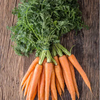 Carrot, Bunch Main Image