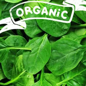 Spinach - ORGANIC Main Image