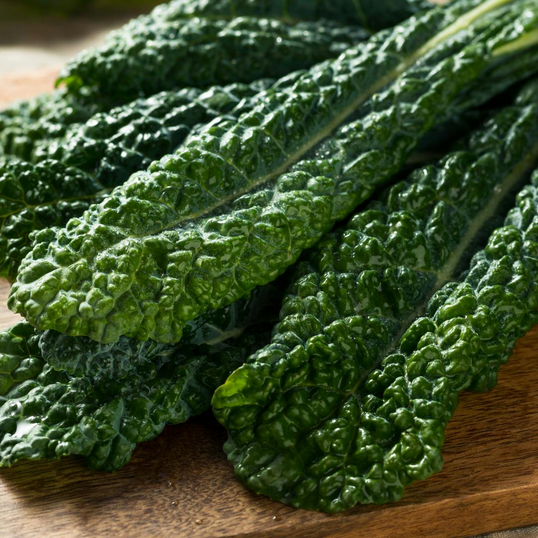 Kale, Lacinato - LOCAL (4-6 oz bag) | Fresh Roots Market