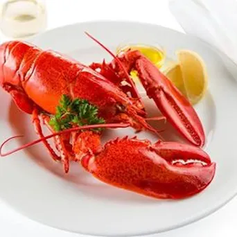 Fish - Lobster Main Image