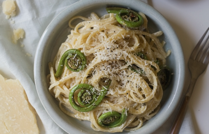 Fiddlehead Lemon Pasta