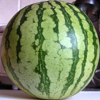 Watermelon, Personal Size Main Image