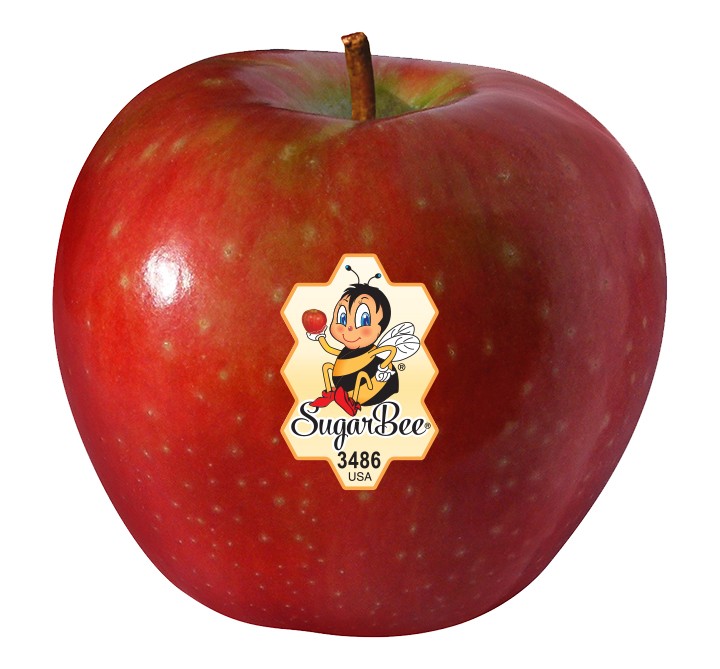 Apples Sugar Bee each Prudent Produce weee-sugarbee-apple
