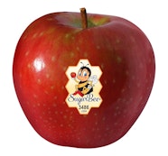 Apples Sugar Bee each Prudent Produce