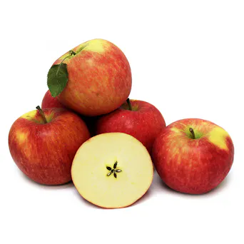 Pinova Apple Main Image