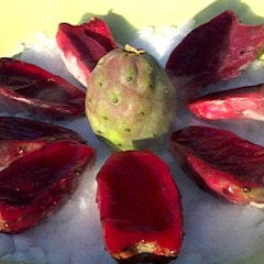 Prickly Pear Sorbet