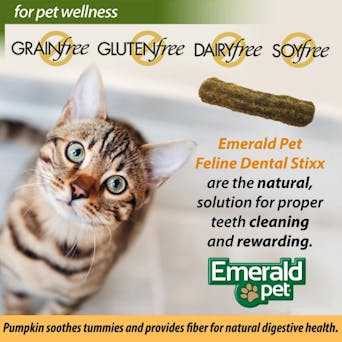 Emerald Pet Feline Dental Stixx with Chicken and Pumpkin Image 0