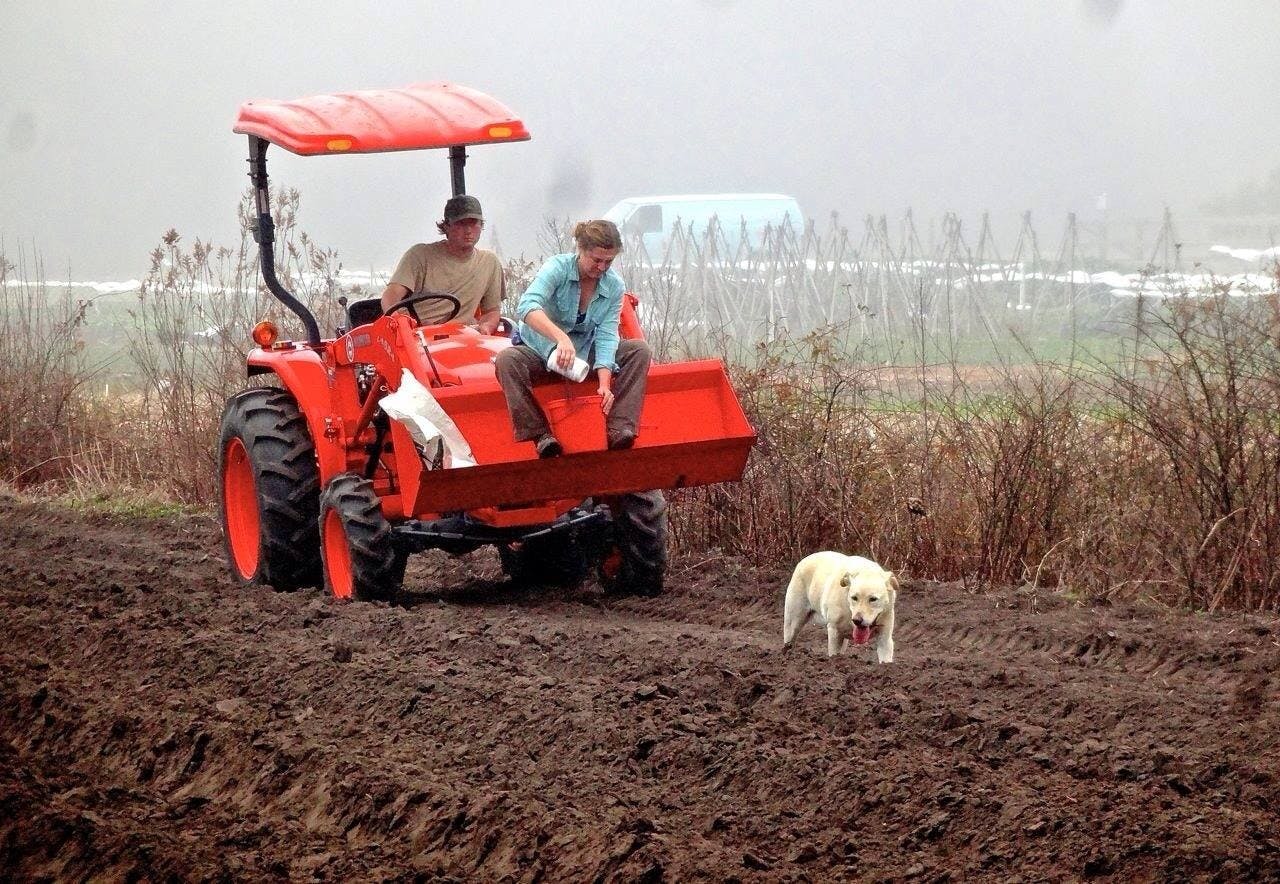 Rooting Down Farms Rooting Down Farms