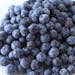 Blueberries - ORGANIC