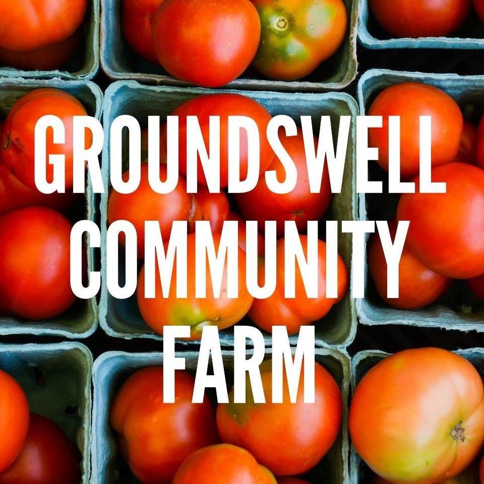 Groundswell Farm Groundswell Farm