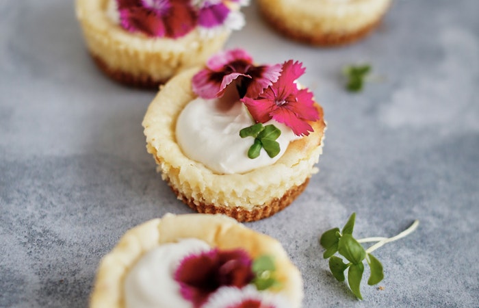 Mini White Chocolate and Lemon Baked Cheesecakes