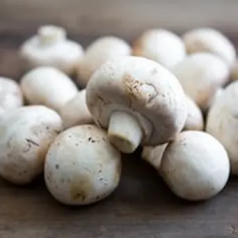 Mushroom, White Main Image