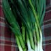 Garlic, Green - LOCAL