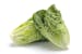 Romaine Romaine