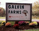 Galvin Farm Galvin Farm