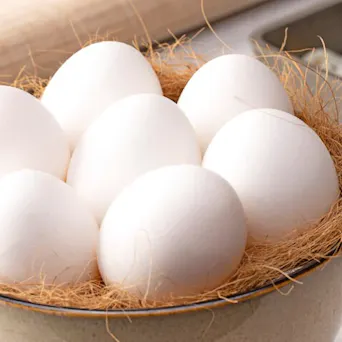 Eggs - White Main Image