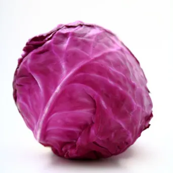 Cabbage - Red Main Image