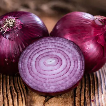 Onion, Red Main Image