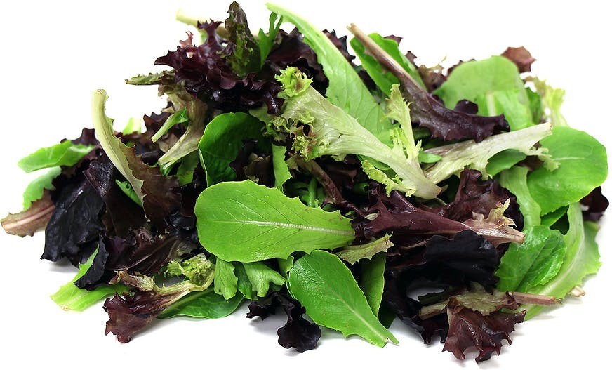lettuce 2580.jpg