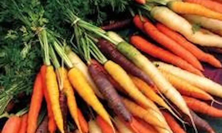 Add on Baby Carrots 400g Main Image