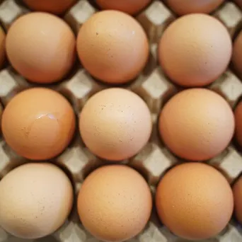 Eggs - Free Range Main Image