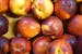 Nectarine
