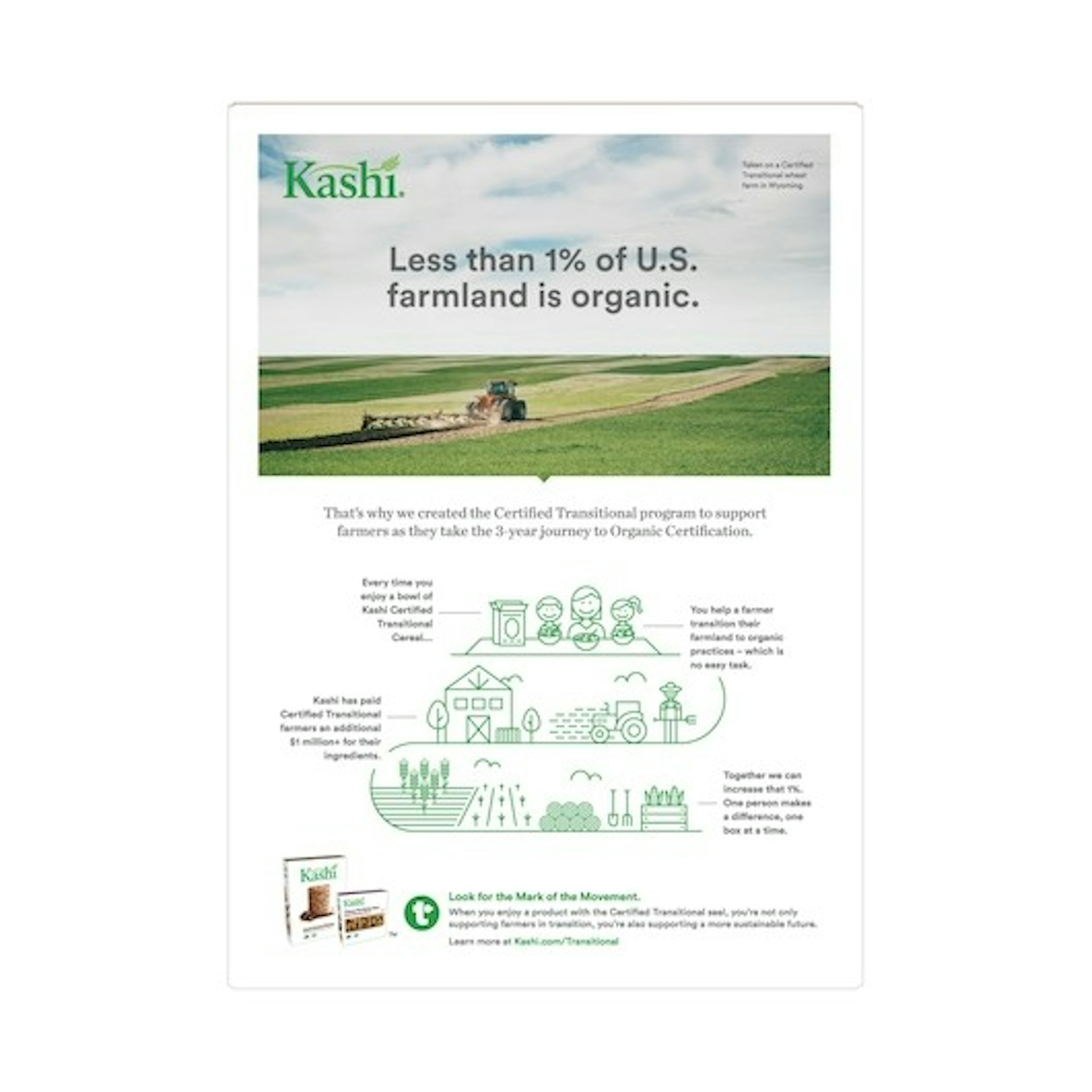 Kashi Cinnamon Harvest Organic Whole Wheat Biscuit Cereal (16.3 oz