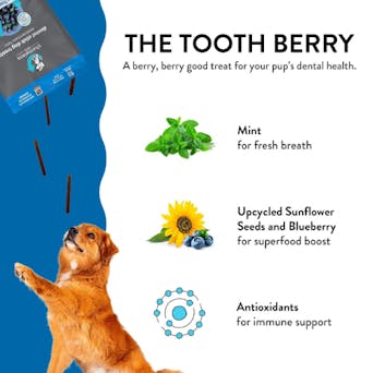 Shameless Pets The Tooth Berry Dental Stick 7.2oz Image 0