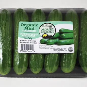 Mini cucumber Main Image