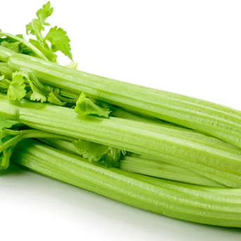 Celery Main Image