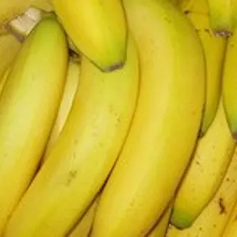 Bananas - ORGANIC Main Image