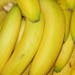 Bananas - ORGANIC