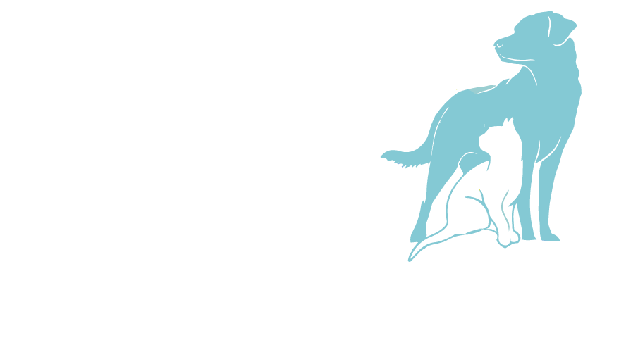 argos food delivery bag