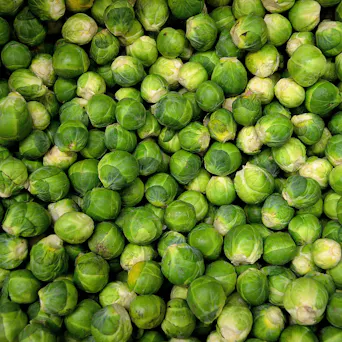 Brussel Sprouts Main Image